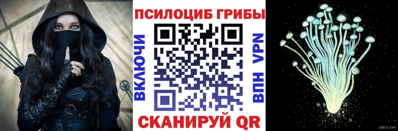 Галлюциногенные грибы GOLDEN TEACHER  Купить закладки  Талица 